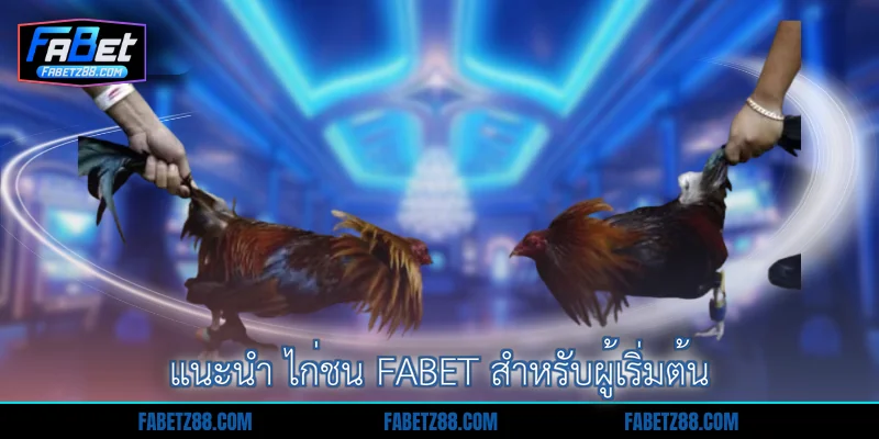 แนะนำ ไก่ชน Fabet สำหรับผู้เริ่มต้น