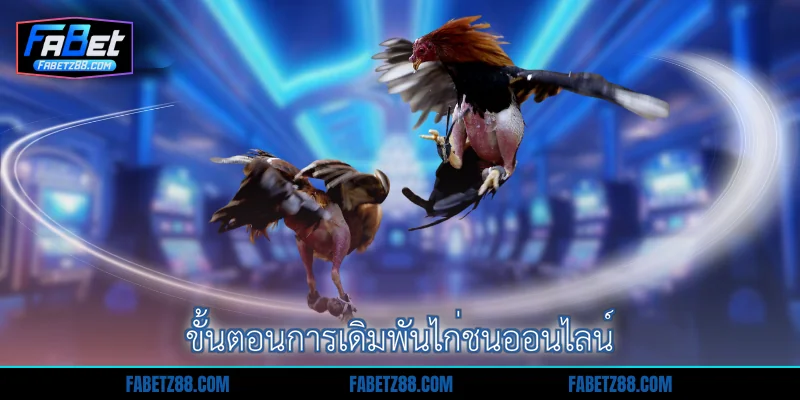 ขั้นตอนการเดิมพันไก่ชนออนไลน์