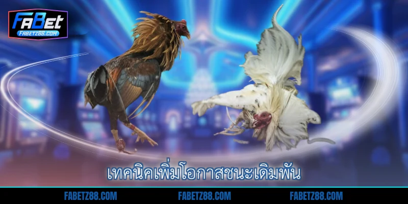 เทคนิคเพิ่มโอกาสชนะเดิมพัน