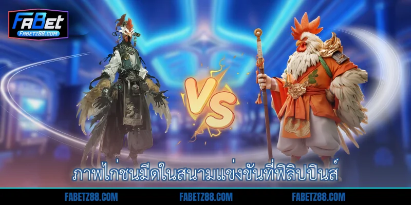 ภาพไก่ชนมีดในสนามแข่งขันที่ฟิลิปปินส์
