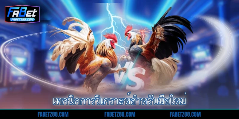 เทคนิคการวิเคราะห์สำหรับมือใหม่