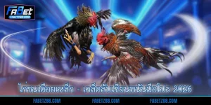 ไก่ชนเดือยเหล็ก