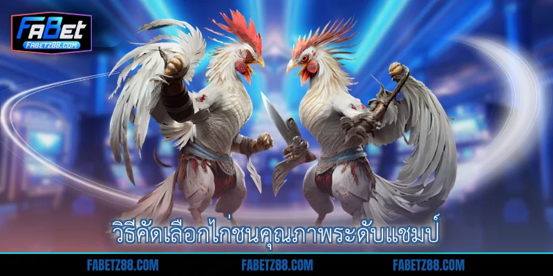 วิธีคัดเลือกไก่ชนคุณภาพระดับแชมป์